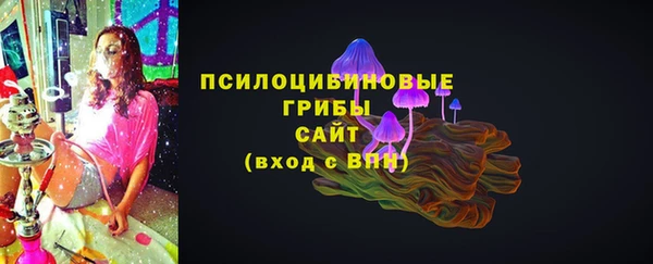 PSILOCYBIN Волосово