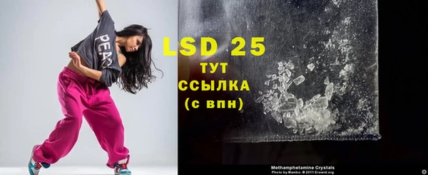 PSILOCYBIN Волосово