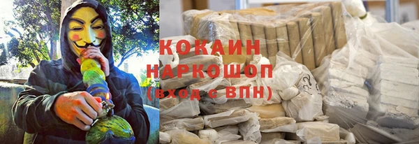 PSILOCYBIN Волосово