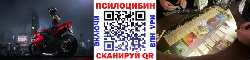 Купить закладки  Светлоград  Псилоцибиновые грибы ЛСД 